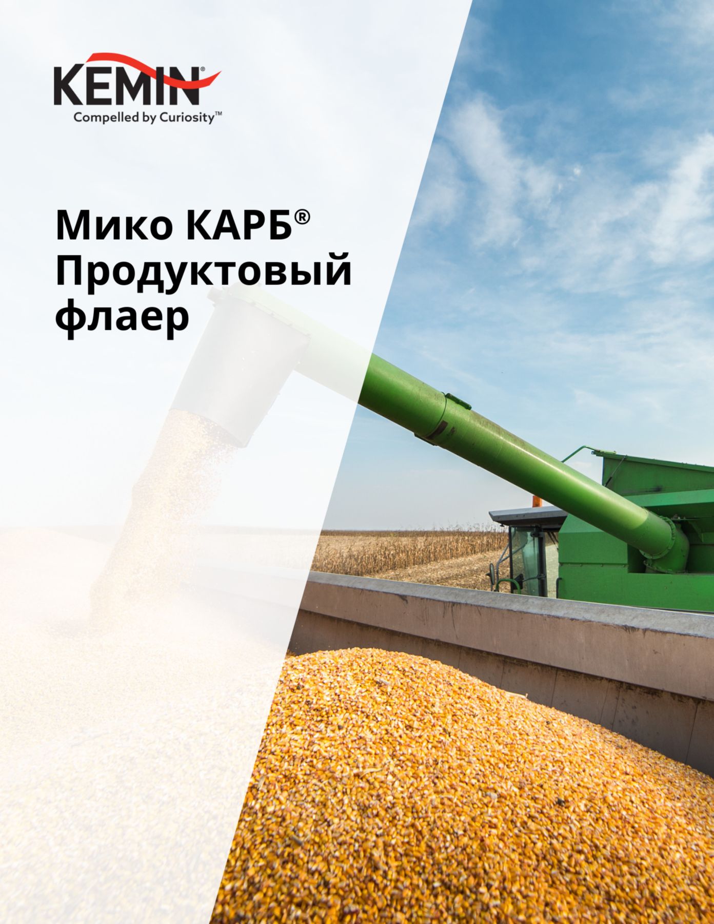 Copy of LYSOFORTE Leaflets - Maximise return on your feed through lower costs and increased efficiency