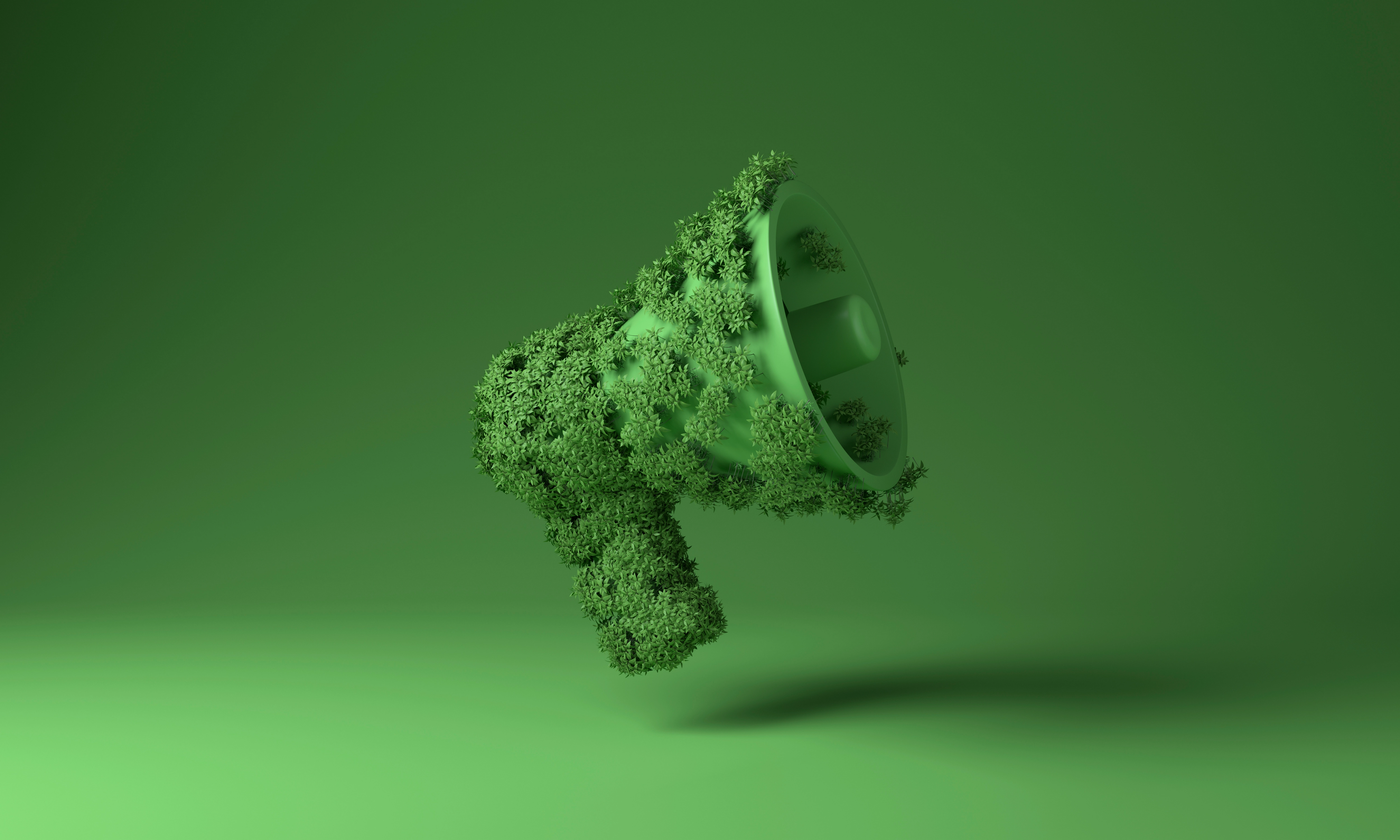 green megaphone