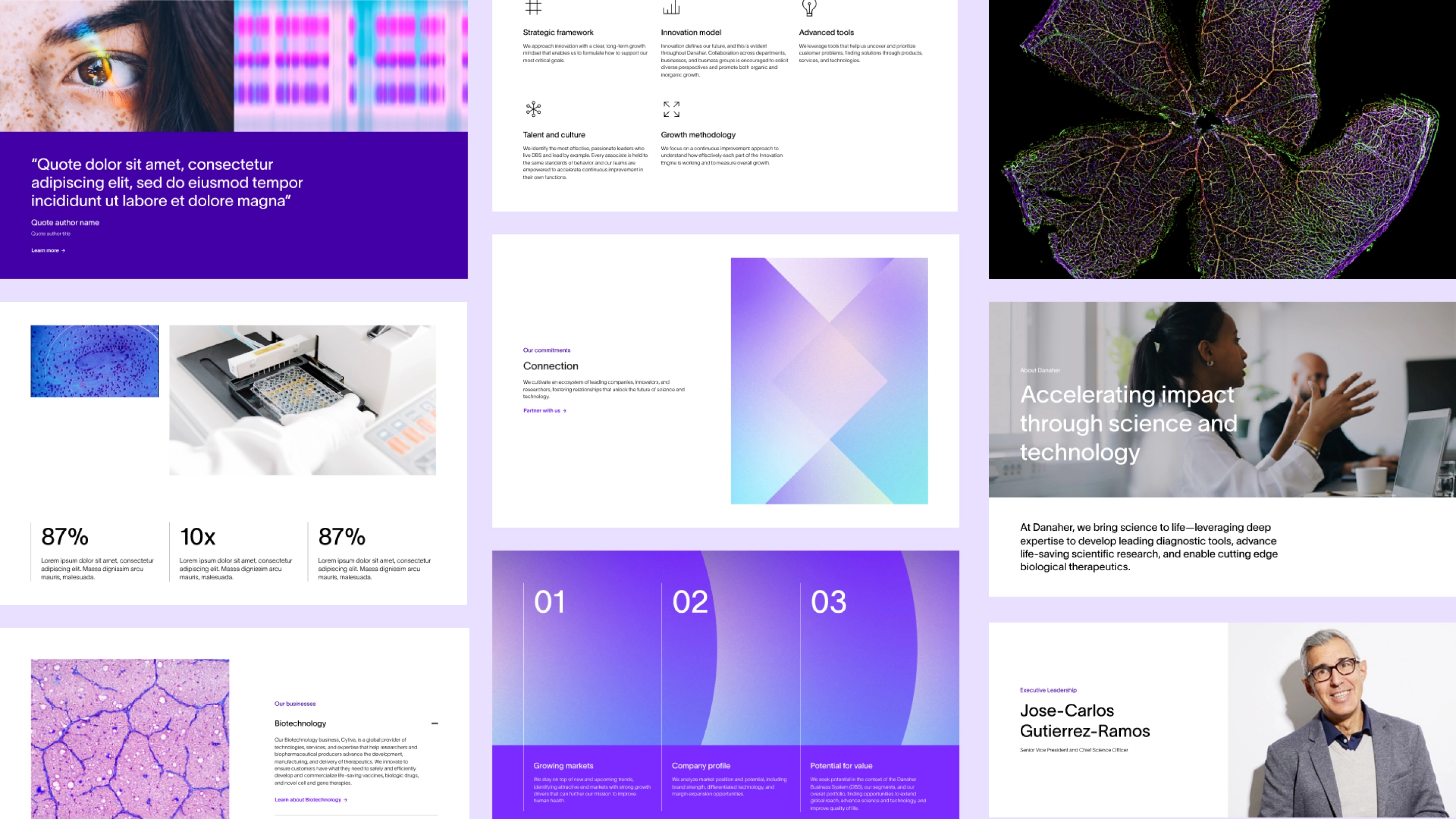 Danaher visual identity - deck