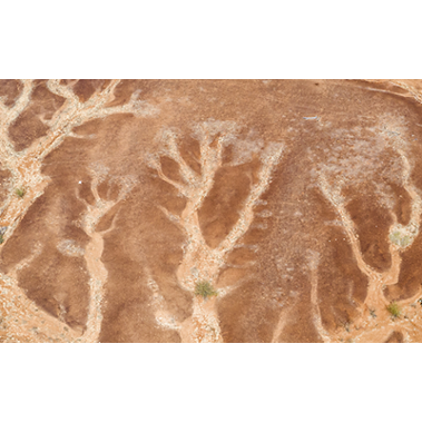 From Climate Risk To Opportunity