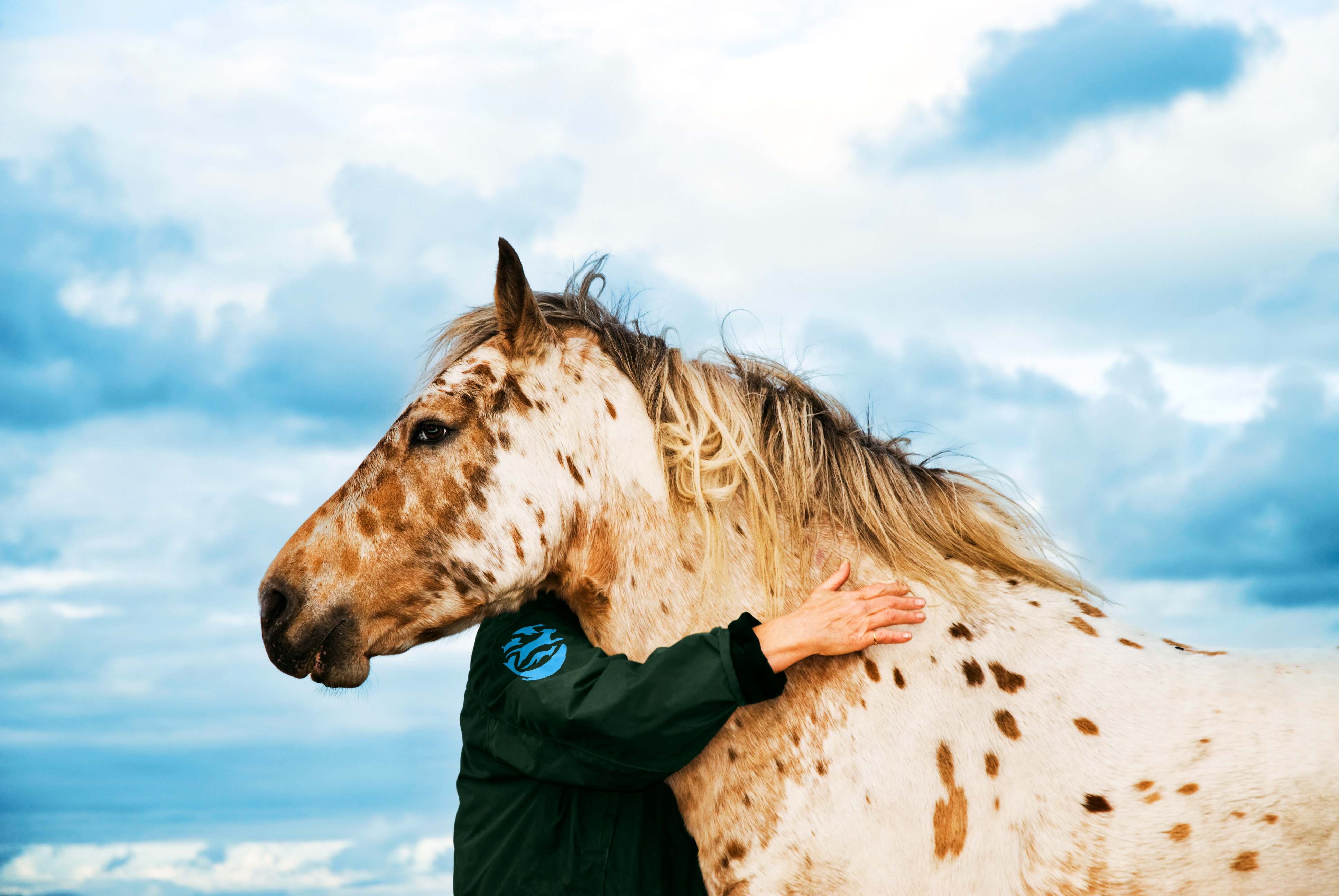A new future for the world’s leading animal protection nonprofit