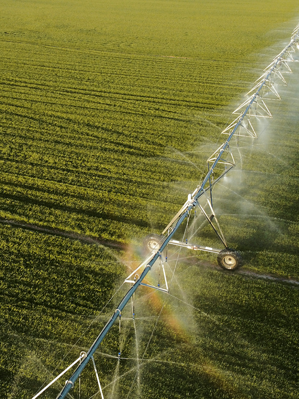 Arial photograph of watering infrastructure in field