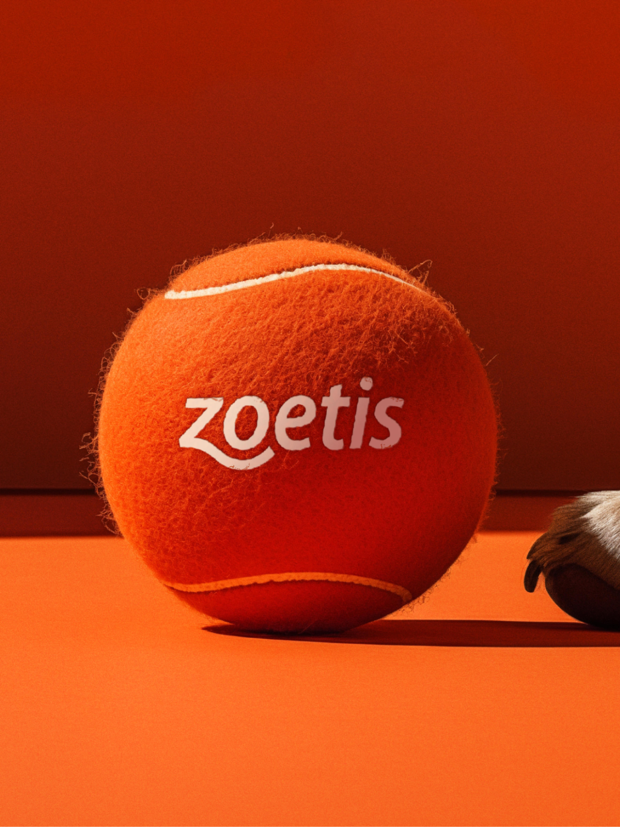 Designing the future of animal health