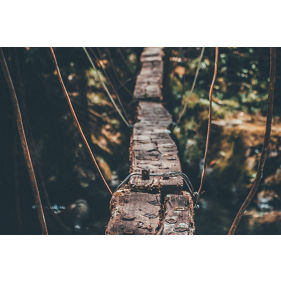 How can businesses successfully navigate economic uncertainty? 