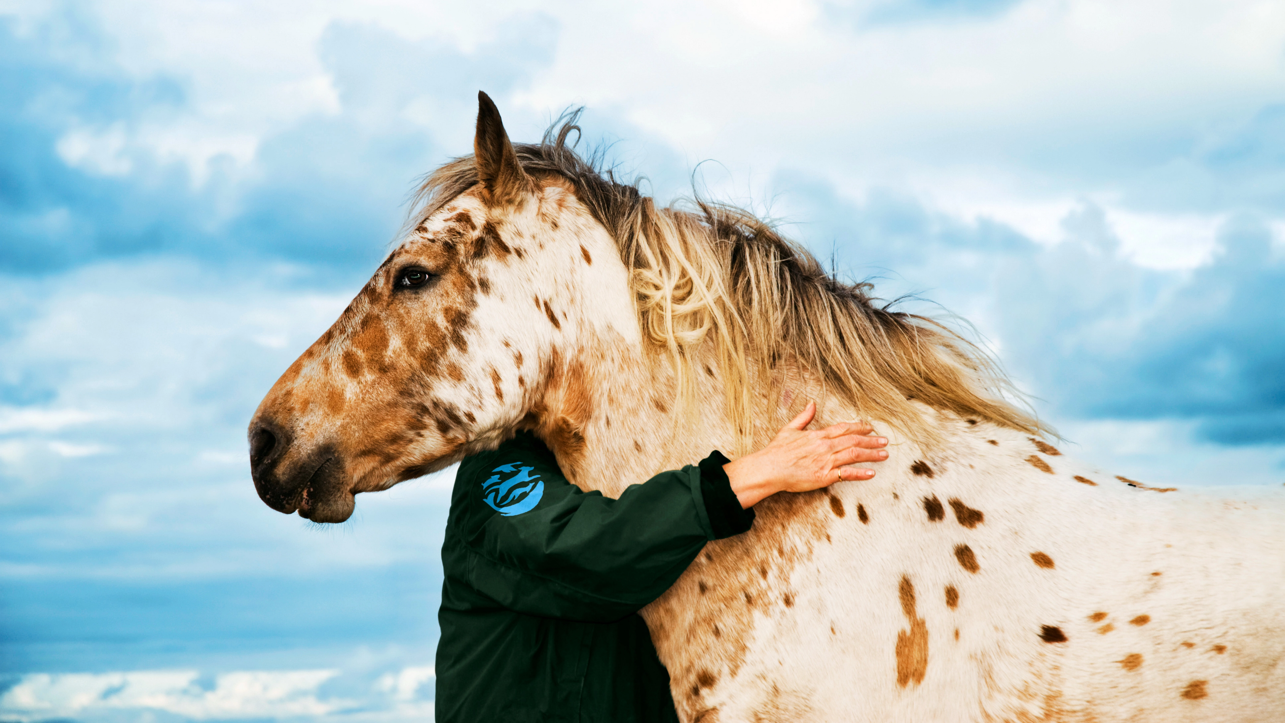 The Humane Society rebrands as the Humane World for Animals to showcase its global efforts