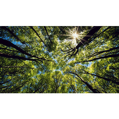 Can we insure the natural world?