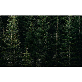 Making Sense of Net Zero: Glossary of terms
