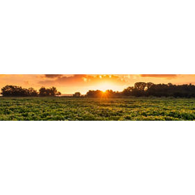 Climate Resilience