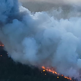 Leveraging Advanced Analytics for Wildfire Risk Management