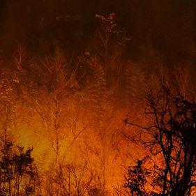 Wildfires: Preparation, Response, and Recovery