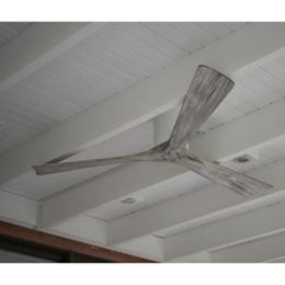 Irene H Flush Mount 3 Blade Ceiling Fan