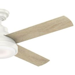 Levitt Ceiling Fan