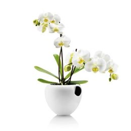 Eva Solo Orchid Pot Yliving Com