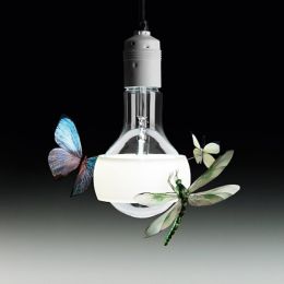 Ingo Maurer Johnny B Butterfly Pendant Light Ylighting Com