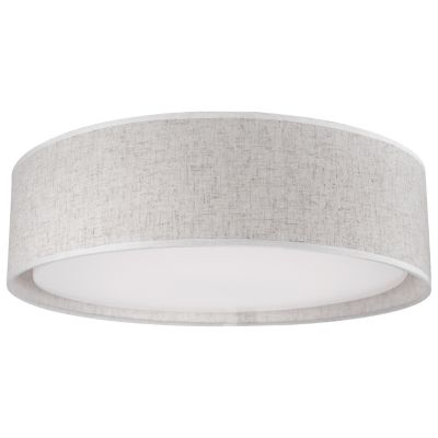 flush mount ceiling light