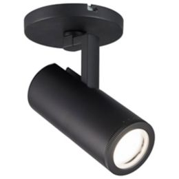 Paloma Led Adjustable Spotlight By Wac Lighting At Lumens Com