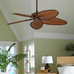 Windpointe Five Blade Ceiling Fan By Fanimation Fans At