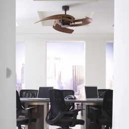 Avaston Ceiling Fan By Fanimation Fans At Lumens Com