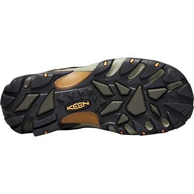 Black Olive / Inca Gold