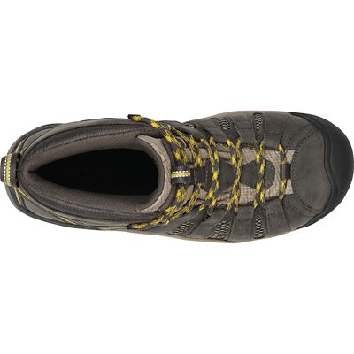 Raven / Tawny Olive