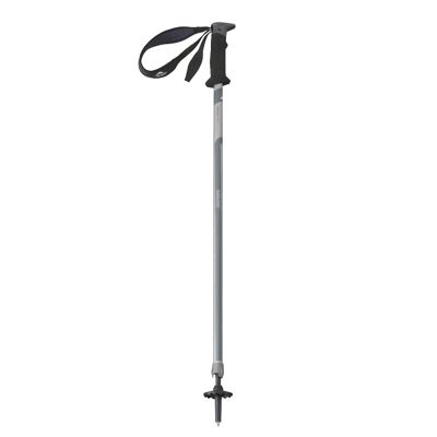 msr trekking pole