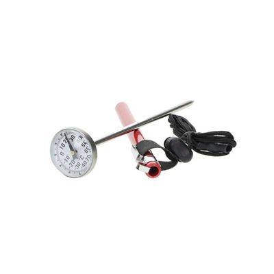 Backcountry Access Analog Thermometer - Ski