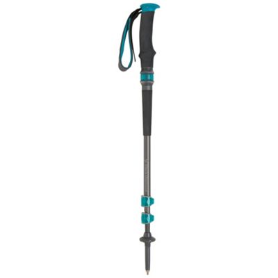 black diamond walking pole