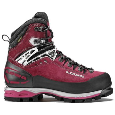 Evo gtx. Lowa Mountain Expert GTX. Lowa Alpine Expert GTX. Lowa Expert GTX EVO. Lowa MT.Expert GTX.