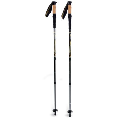 mountainsmith hiking pole