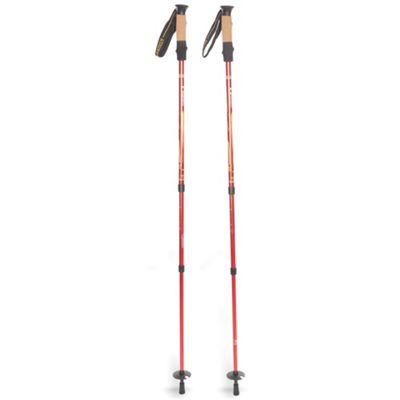 mountainsmith pyrite trekking pole review