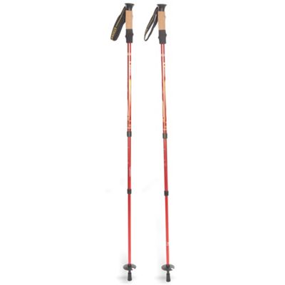 mountainsmith hiking pole