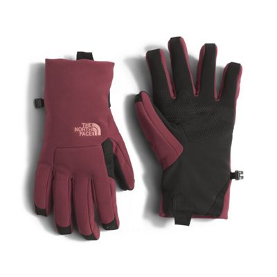 the north face women's apex  etip glove