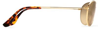 Gold / HCL Bronze Polarized