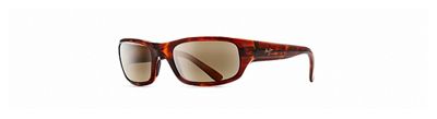 Gloss Tortoise / HCL Bronze