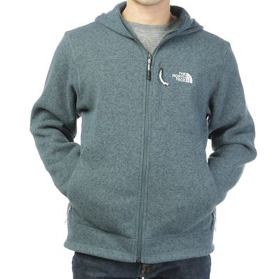 the north face men's m gordon lyons hoodie