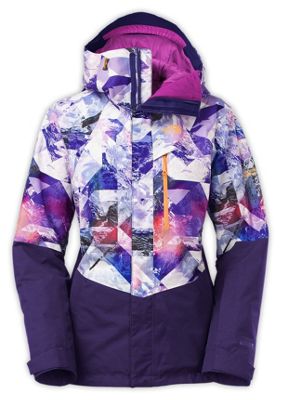 the north face nfz jacket