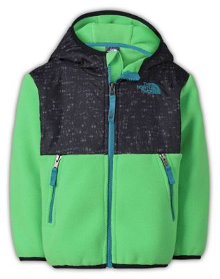 the north face toddler denali jacket