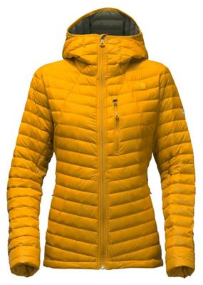 north face premonition down jacket