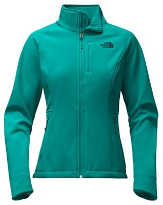 the north face women's apex risor hoodie