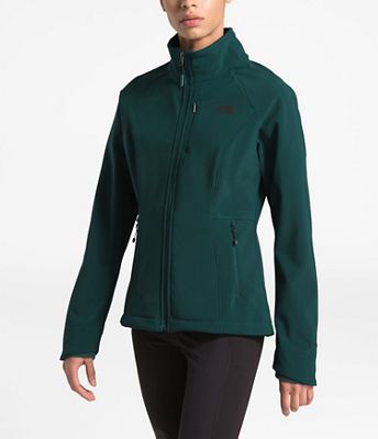 north face apex bionic 2 hoodie women's