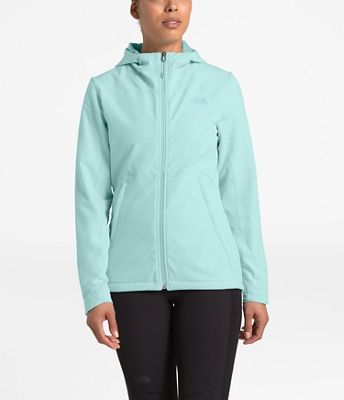 shelbe raschel hoodie north face