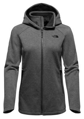 the north face far northern hoodie