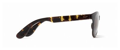 Tokyo Tortoise / HCL Bronze