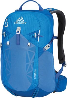 gregory 20l backpack