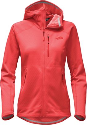 the north face fuse progressor fleece hoodie