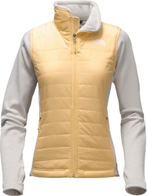 the north face mashup insulated jacket