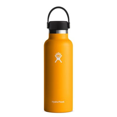  Hydro Flask 18 oz. Water Bottle - Stainless Steel, Reusable,  Vacuum Insulated with Standard Mouth Flex Lid : Everything Else