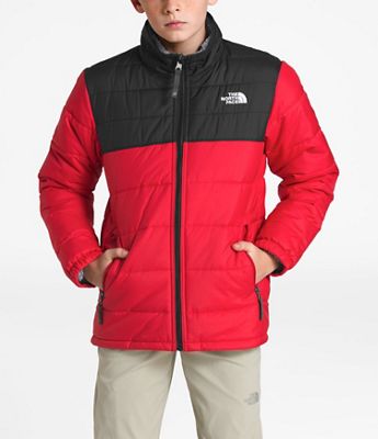 the north face mount chimborazo reversible fleece puffer jacket