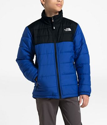 the north face mount chimborazo reversible fleece puffer jacket