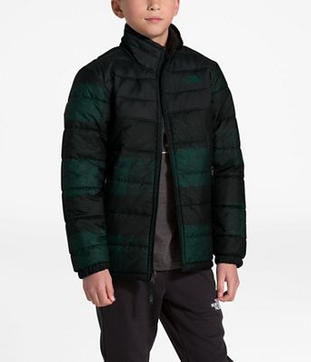 the north face mount chimborazo reversible fleece puffer jacket